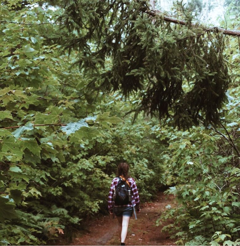 Nagarjun Forest