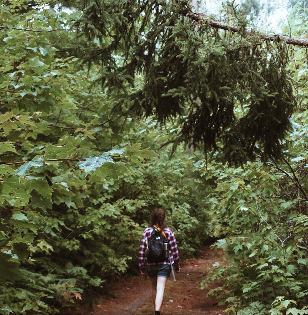 Nagarjun Forest